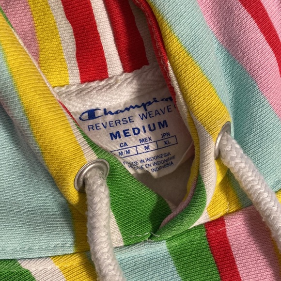 CHAMPION 🍉 WATERMELON MULTICOLOR HOODIE - Picture 3 of 5